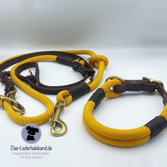 Set | Hundehalsband "Goldi" mit Leine